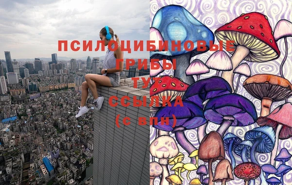 гашик Богданович