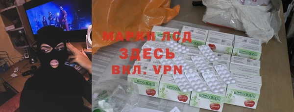 гашик Богданович