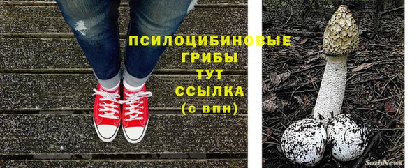 гашик Богданович