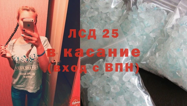 гашик Богданович
