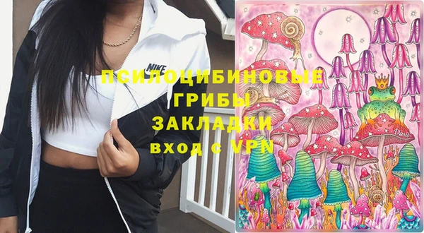 гашик Богданович